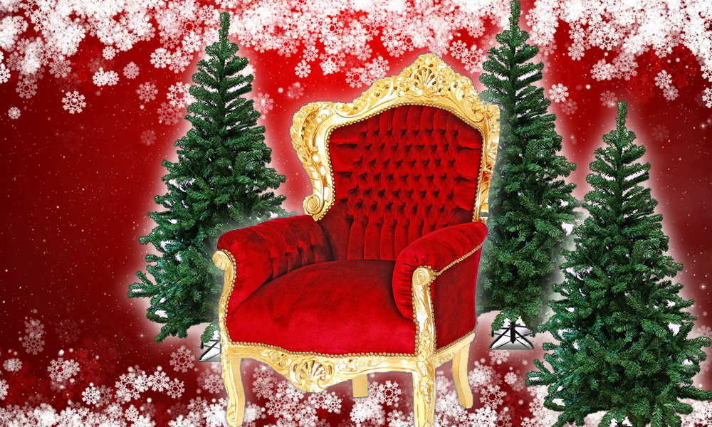 Location deco noel particulier