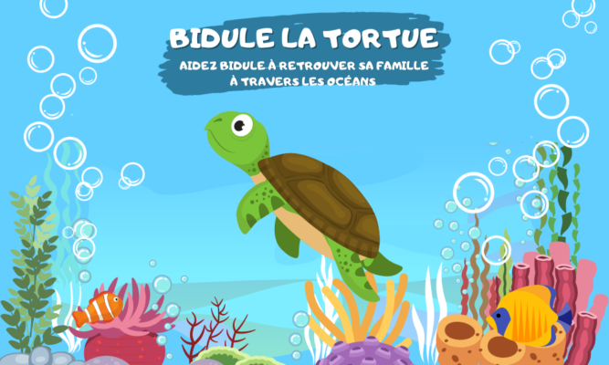 bidule la tortue environnement pollution sensibilisation