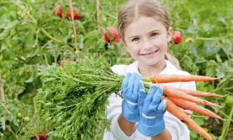 atelier-enfants-jardinage-allan-crofft-02