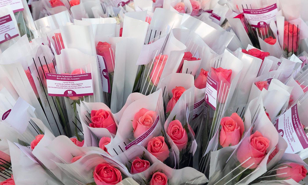 Distribution Roses - Allan CROFFT : Saint-Quentin, Picardie, Nord