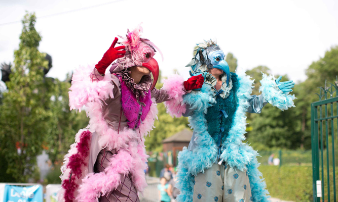 échassiers vénitiens