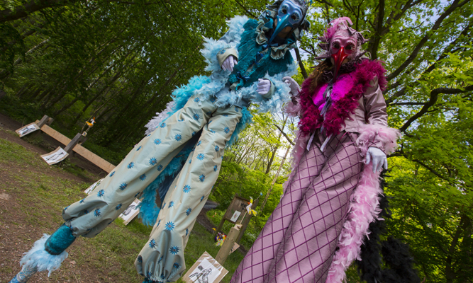 échassier vénitiens